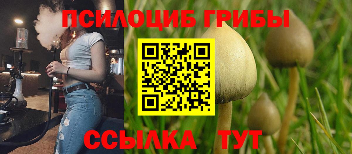 Галлюциногенные грибы Psilocybe  Вход с VPN  Галлюциногенные грибы Cubensis  Саянск 